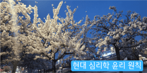 현대 심리학 윤리 원칙